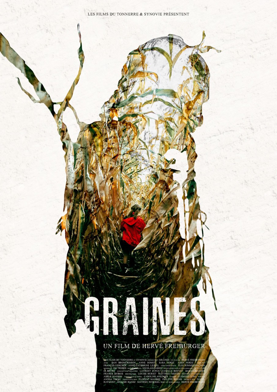 Graines - 1