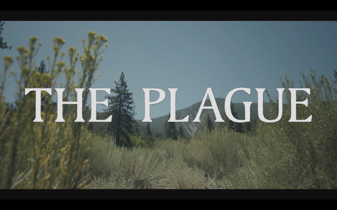 The plague - 6