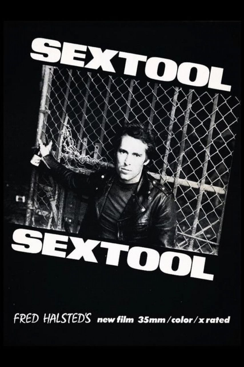 Poster Sextool