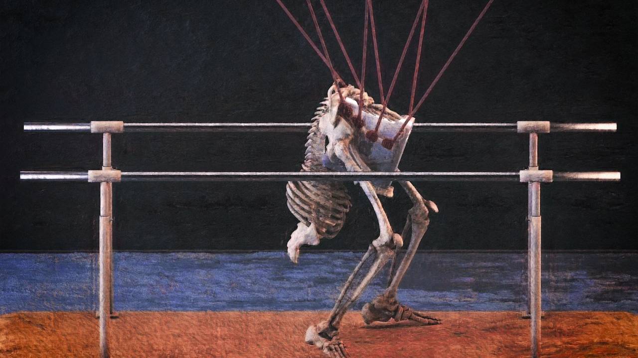 The Posthuman Hospital