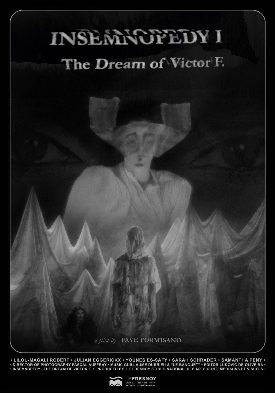 INSEMNOPEDY • The Dream of Victor F. - 1