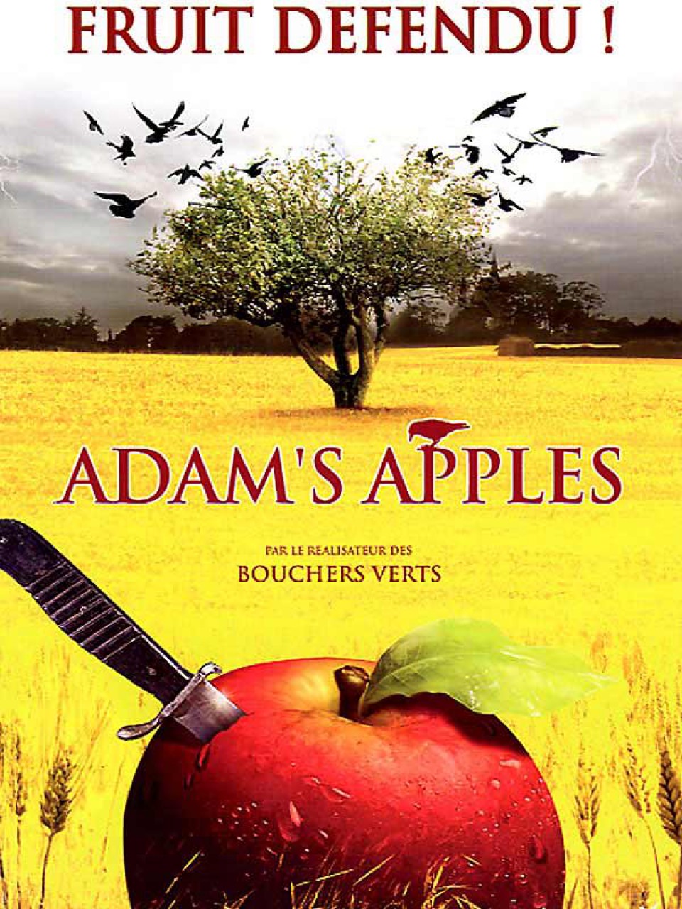 Les pommes d'Adam - 1