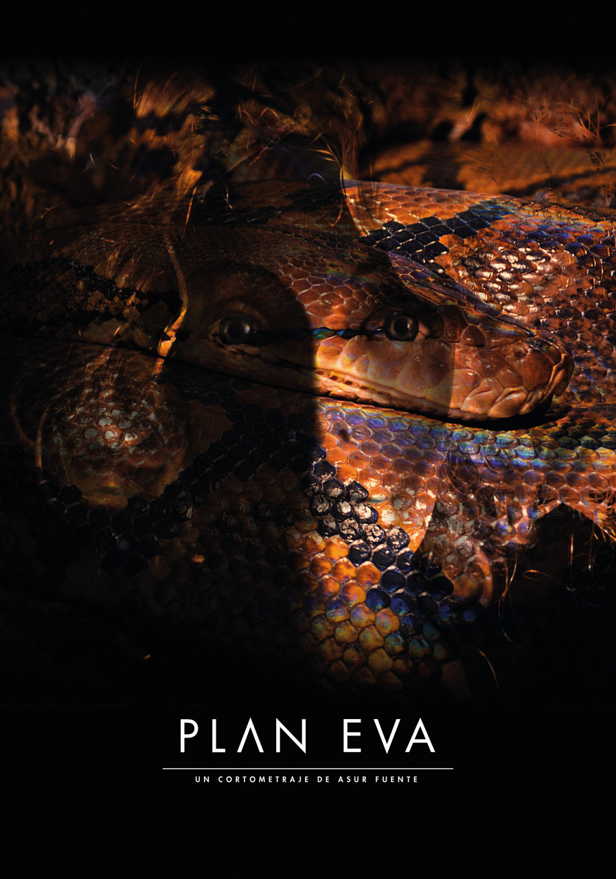 Plan Eva